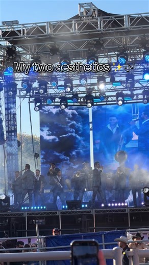 Best of Both Worlds: Concert Vibes and Aesthetics