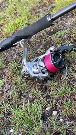 #lurefishing #labrax #fyp #lurefishingwithlennon #bass #fishing