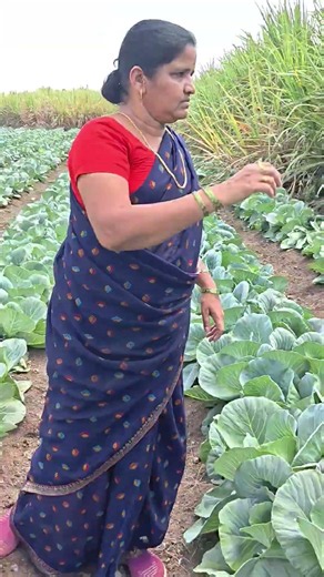 शेतकरी 🌱🌱
