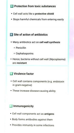“WHY CELL WALL IS IMPORTANT?” 🦠 Bacterial Cell Wall Functions You MUST Know 💥 | MBBS