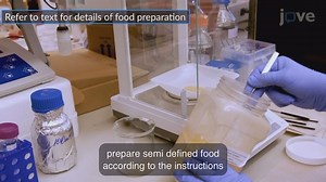 JoVE科研：开发用于心脏功能成像和光遗传控制的黑腹果蝇模型