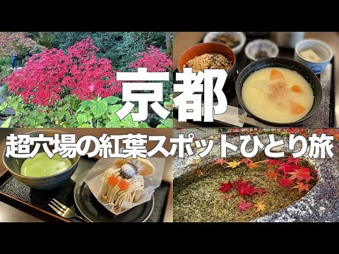 【京都紅葉観光🍁】女ひとり旅は紅葉スポットの知る人ぞ知る穴場を巡る極上ルートVlog