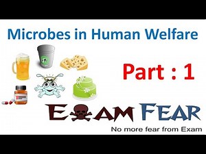 Introduction to Microbes in Human Welfare Video Lecture - Biology for Grade