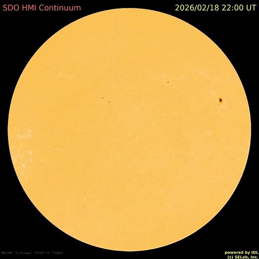 태양 전면 주간 동영상 (weekly solar full-disk movie : 2026. 2. 16 ~ 2. 22) #sun #solar #sunspot #태양 #흑점