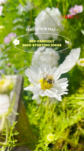 Create a Bee-Friendly Garden with Biodegradable Pots | DIY Tutorial