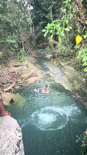 Jumping out of tree 😲 #jumping #travel #fun