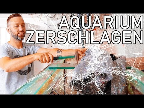 1000l Aquarium Zerstören (EXTREM)