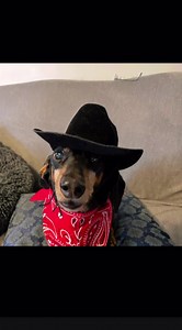 Charlie’s ready for country day at school | Charlie’s Kingdom