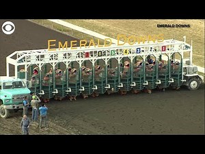 WEB EXTRA: T-rex Race