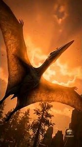 Pterodactyls Were Not Actually Dinosaurs, Not Even Close 😳🤯 #dinosaurs #paleontology #terrasauria