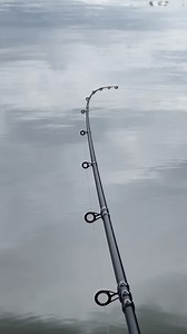 9.7K views · 566 reactions | WATCH OUT  for that TIP!  Get set...