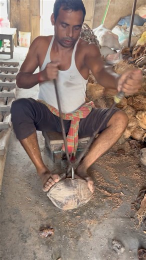 Great coconut peeling machine।#shorts