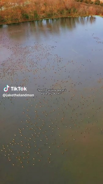 Beaufort County | Pantego, NC | 102 - Acres This 102-acre duck hunting paradise near Pantego, NC is where habitat management meets world-class hunting. 💧 6 nutrient-rich impoundments 🌽 Corn & moist soil plantings 📦 48 wood duck boxes 🚿 Fully equipped electric well system 🪶 Teal, gadwall, mallards, black ducks & more 🌲 Elevated lodge site with flyway views 🌿 Long-term habitat enhancements Whether you’re chasing limits or building a legacy, this property was built for the serious waterfowl 