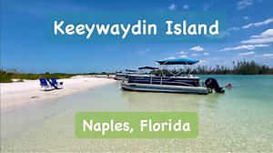 14K views · 477 reactions | Join Robb Stan for a walk on the beach at...