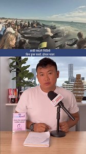 1.7M views · 58K reactions | आखै रसाउने भिडियो, होयल माछाको दु ख द कथा, किन हुन्छ यस्तो Pilot Whale in WA, Australia #whale #pilotwhales #wa #australia #nepaltube #saralgurung | Nepal Tube Australia | Facebook