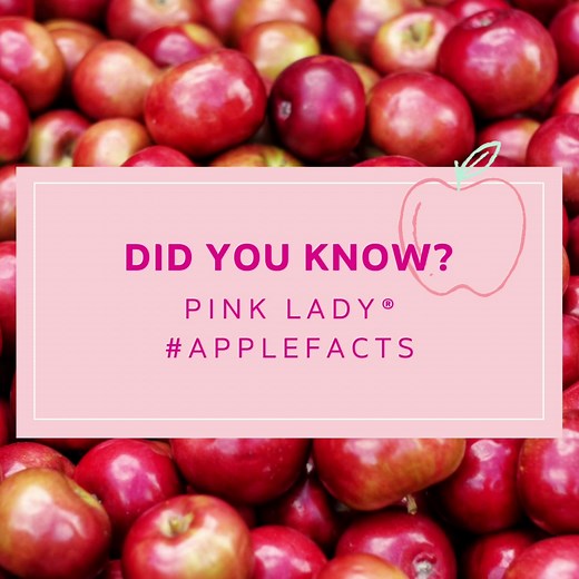 Did you know that Pink Lady® Apples originally hail from Australia? Yeah, mate! 🦘🍎 🍎 Here are some other fun apple facts about Pink Lady®! 🍎 🌱 Plant breeder John Cripps naturally cross-bred a Golden Delicious and a Lady Williams apple in 1973, creating the variety we know today as Pink Lady®! 🇺🇸 While Washington State grows a majority of Pink Lady® apples in the USA, California, Oregon, Michigan, New York, Pennsylvania, and Virginia are also producers! 🧑‍🍳 Pink Lady® apples are deliciou