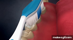 Tooth Brushing- Modified Bass Technique on Make a GIF