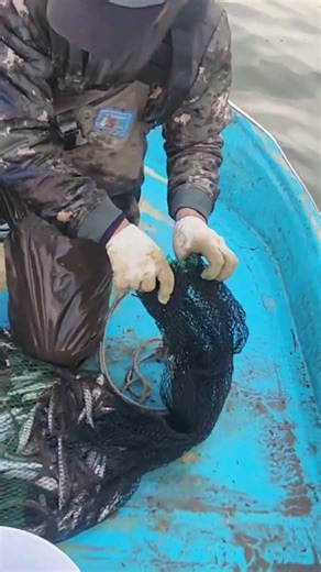 어부사시사 첫 그물질!