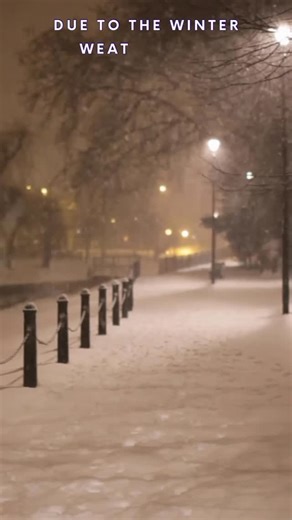 Salsa Connection Dance Company on Instagram: "No classes on Monday. We hope everyone is safe and warm."