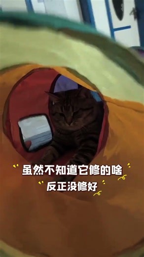 Oops! Missed My Tools for Repair - Blame Game Unleashed