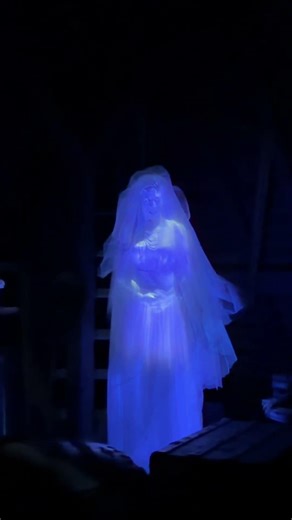 The Bride - Disneys Haunted Mansion #bigfloridacountry #thebride #hauntedmansion