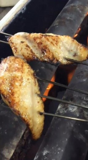 【本日のランチ】銀だら西京焼御膳 #長岡ランチ #ランチ