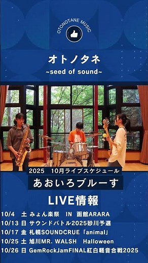 【2025年10月版】オトノタネLIVE情報♬ #shorts #オトノタネ #ライブ
