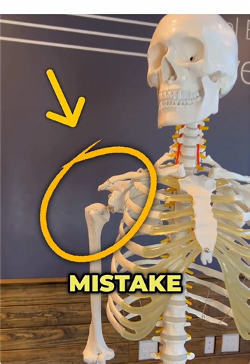 Effective Rehab Strategies for Biceps Tendinitis Relief