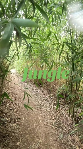 Gopro hero 12 black under water🛁 #france🇫🇷 #dijon #toyou #foryou🌴🌴 #pourtoii