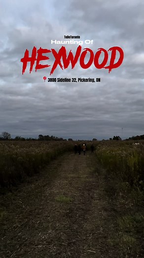 Experience The Haunting of Hexwood in Toronto