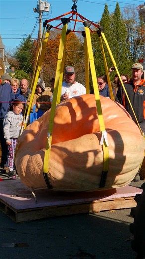 19K views · 159 reactions | Will it float? AO Food Editor Sam O'Brien takes part in a unique tradition: The Goffstown Giant Pumpkin Regatta. Here, giant pumpkins are weighed, sliced, scooped, and finally transformed into boats, which participants ride in a race down the river. See how she does: https://bit.ly/4hzWAk1 | Atlas Obscura | Facebook