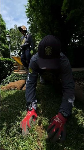 Sod install - Kentucky Blue Grass #backyardgoals #landscaping #crushingit