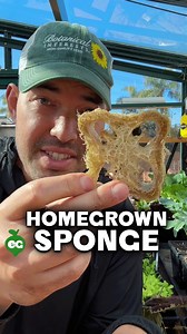 2.5M views · 32K reactions | Luffa is one of the most fun and useful...