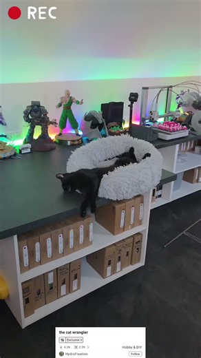 3D printed for your cat "the cat wrangler" printed on a Bambulab A1 #3dprinting #cat #wrangler