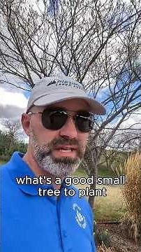 Why You Should Plant a Serviceberry Tree #Serviceberry #TreeRecommendation #CertifiedArborist