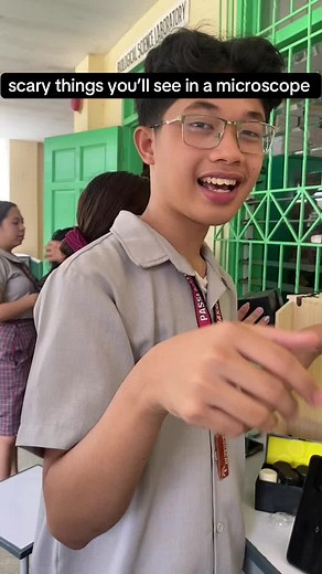 Discover Scary Things Seen Under a Microscope