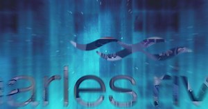 1.3K reactions · 87 shares | Our collective efforts as One Charles...