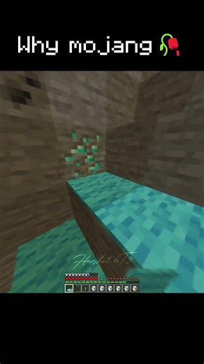 Why Mojang, it is always ME 🥀😭✌️