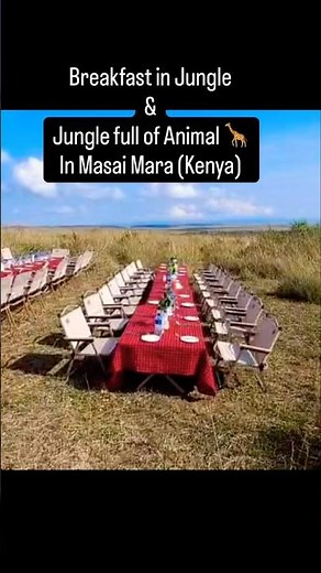 Enjoy Indian breakfast in #jungle with animal of #masaimara #kenya #travelstoryteller87 #viral