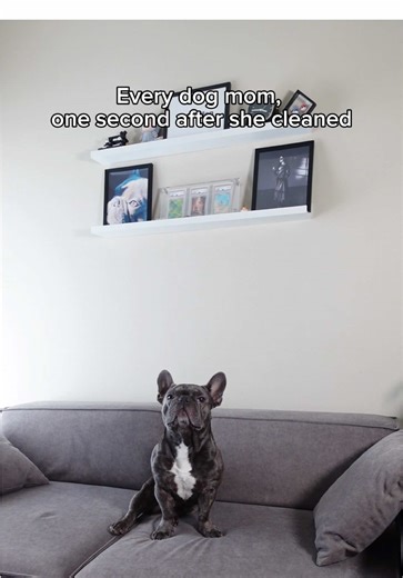 Dog moms, am I alone? 😆 | Dog Mom