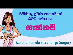 How Male to Female Transitions Actually Work (Animation)