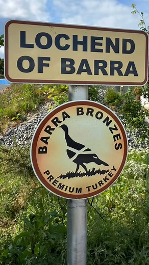 There is a lot of attention to detail when we are brooding our young turkey chicks to ensure that they get the best possible start. It is brilliant having such a hardworking and reliable team behind me 😊! #barrabronzes #teamwork #freerangeturkeys #aberdeenshire #inverurie #oldmeldrum | Barra Bronzes Free Range Turkeys
