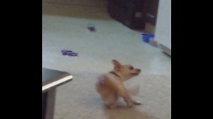 2.2K views · 6.2K reactions | Trying to fit in at the club. | America's Funniest Home Videos | Facebook