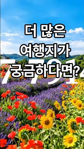 🌸 [북해도 여행] 5월~10월, 눈 대신 꽃으로 덮이는 '꽃의 향연' 테마 여행 🌸#북해도여행 #홋카이도여행 #7월여행지 #8월여행지 #여름휴가추천
