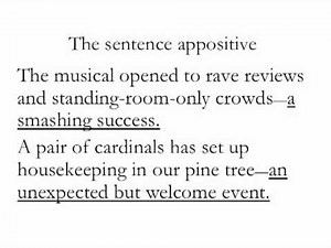 WRITING STYLE 9: Appositives and Absolutes