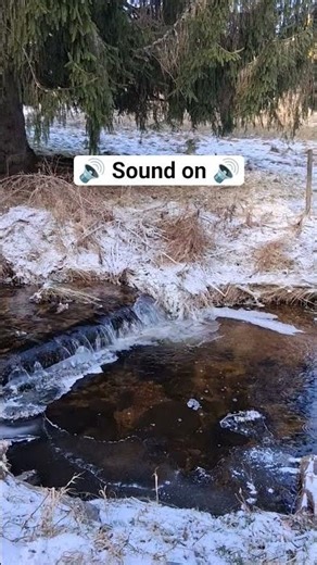 Strom gefriert stromabwärts ... und stromaufwärts 🥶 Song: "Dann für dich", Jaw Harp Jam #musik #rap