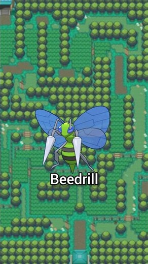 Buffing all pokemon - Beedrill! #pokemon #beedrill #subscribe #kanto #subscribe