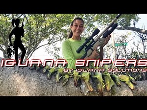 Iguana Snipers: 7 iguanas in 11 shots. Come pellet gun hunt with Iguana Solutions and the Sahara!