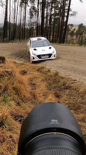 Alan Carmichael and Michael Gilby through the first pass of Gale Rigg on the Riponian Stages #rally2