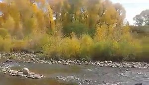 4.7K views · 742 reactions | Rio Chama | New Mexico Nomad | Facebook